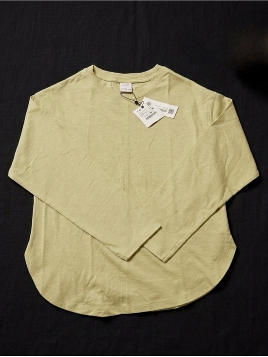 Zara Other - Zara Light Green Long Sleeve Tee